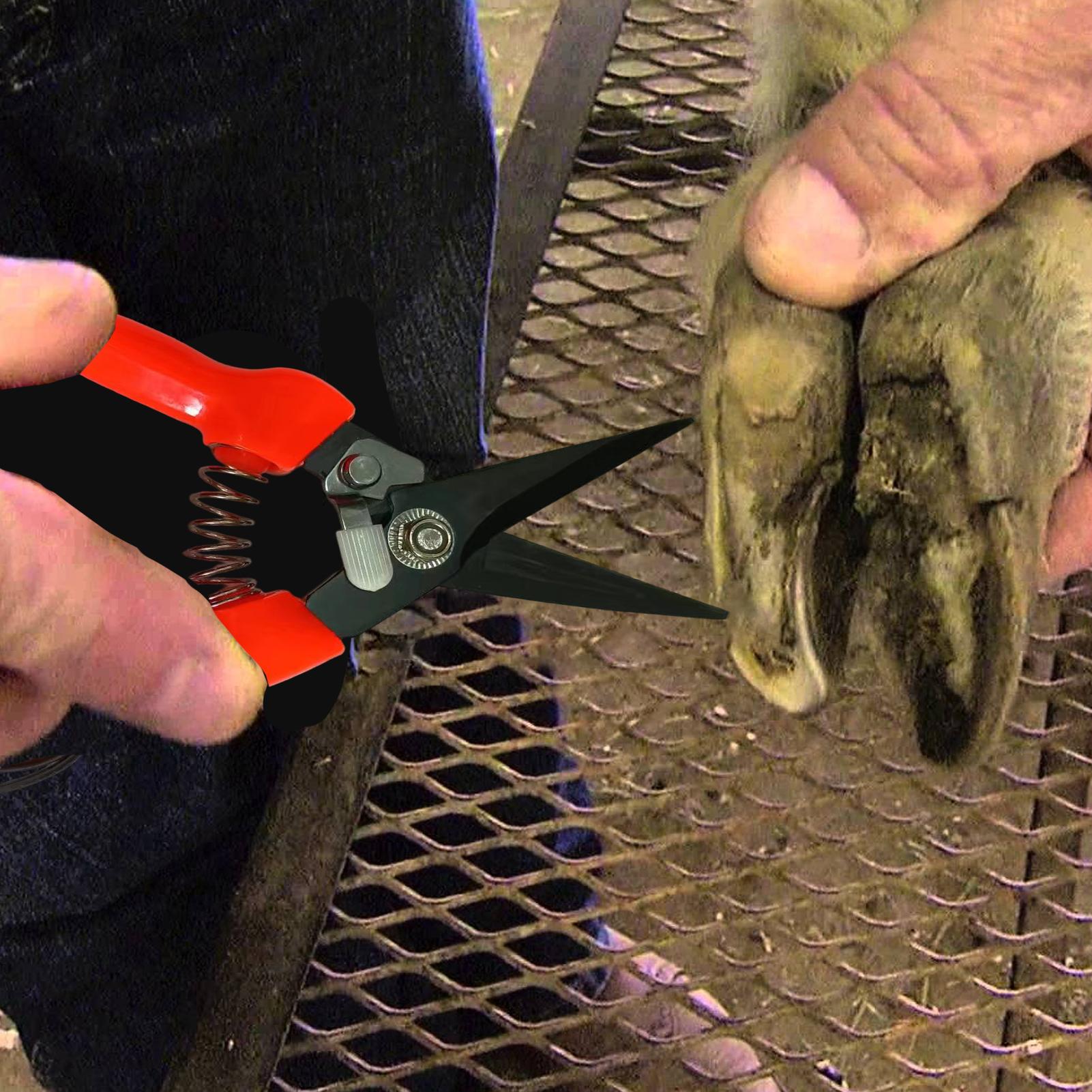 Garden Hand Trowel - Pemotong Kuku Domba, Gunting Pemangkas Tanaman,