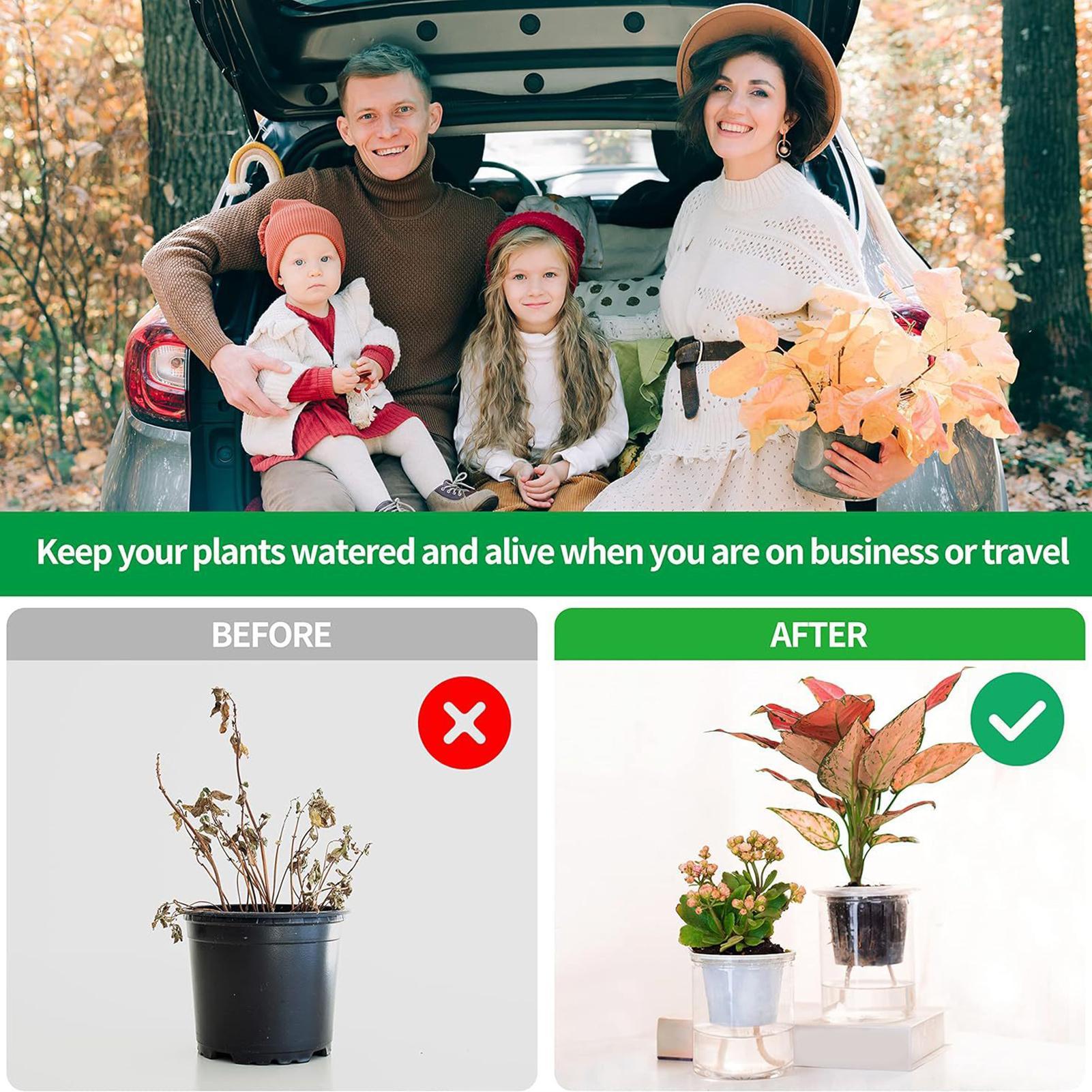 Tali Penyiraman Otomatis 2-Pie - Self-Watering Planter ulasan dan harga