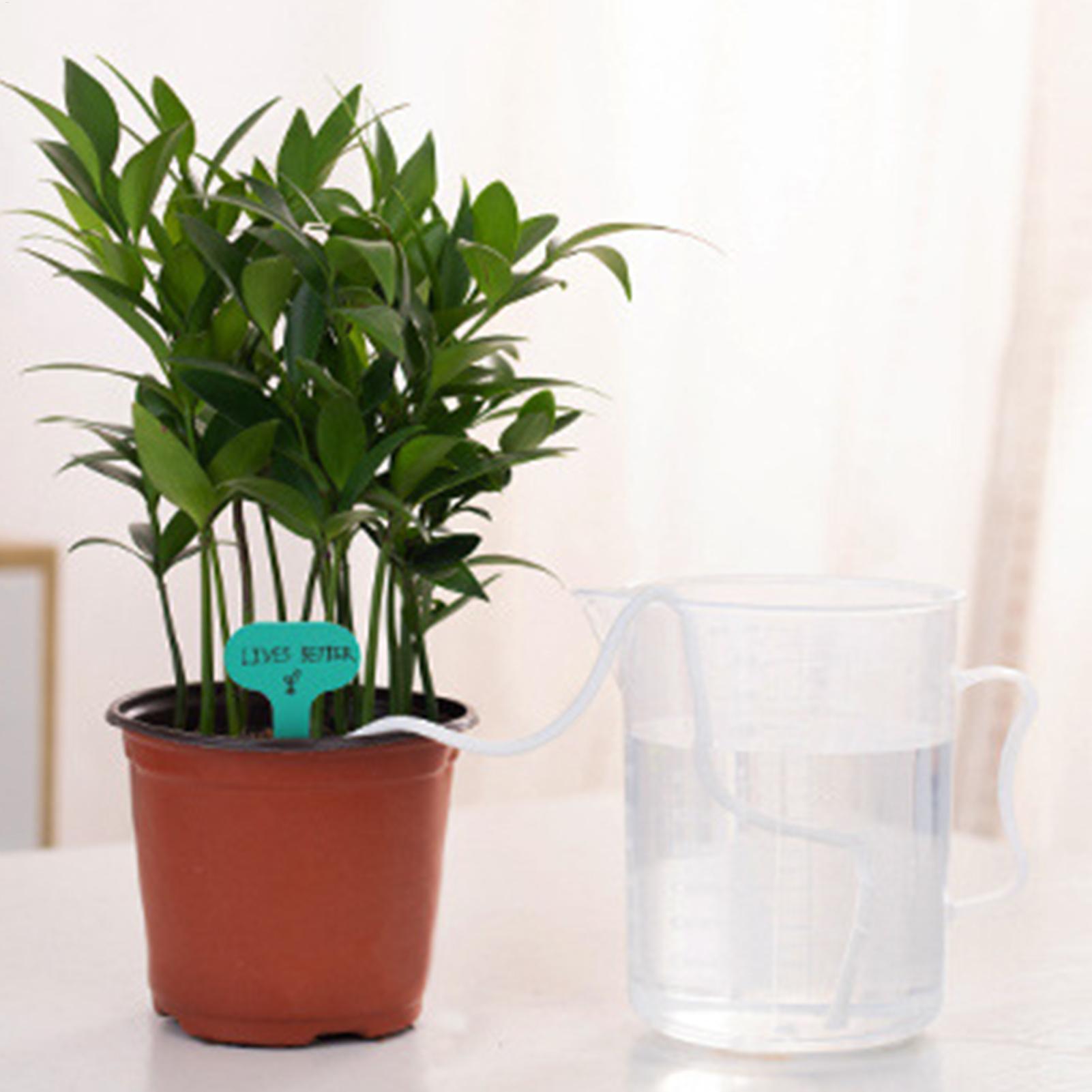 Tali Penyiraman Otomatis 2-Pie - Self-Watering Planter ulasan dan harga