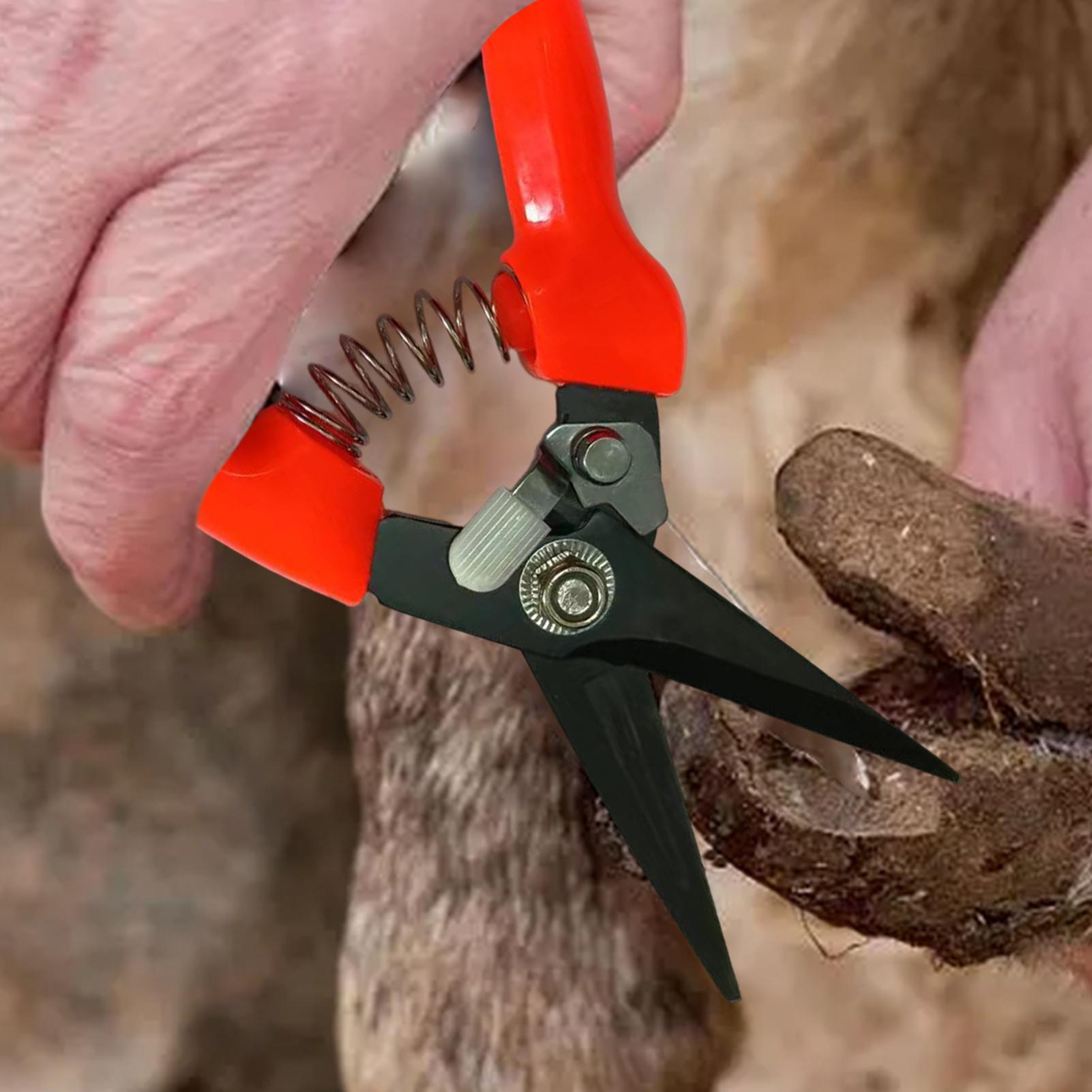 Pemotong Kuku Domba, Gunting P - Garden Hand Trowel ulasan dan harga
