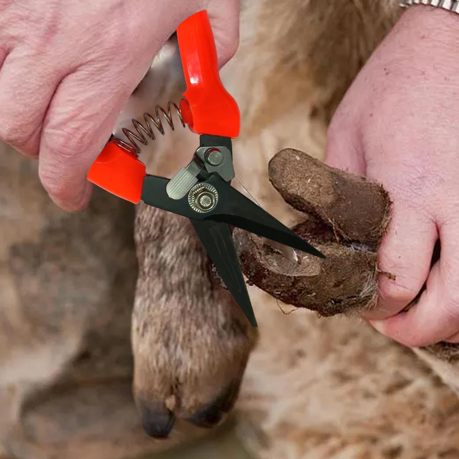Pemotong Kuku Domba, Gunting P - Garden Hand Trowel ulasan dan harga