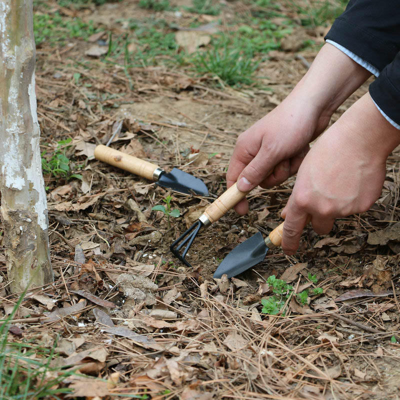 Set Alat Berkebun Mini 3 Buah/ - Gardening Tools For Weeds ulasan dan harga
