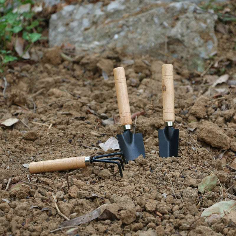 Set Alat Berkebun Mini 3 Buah/ - Gardening Tools For Weeds ulasan dan harga