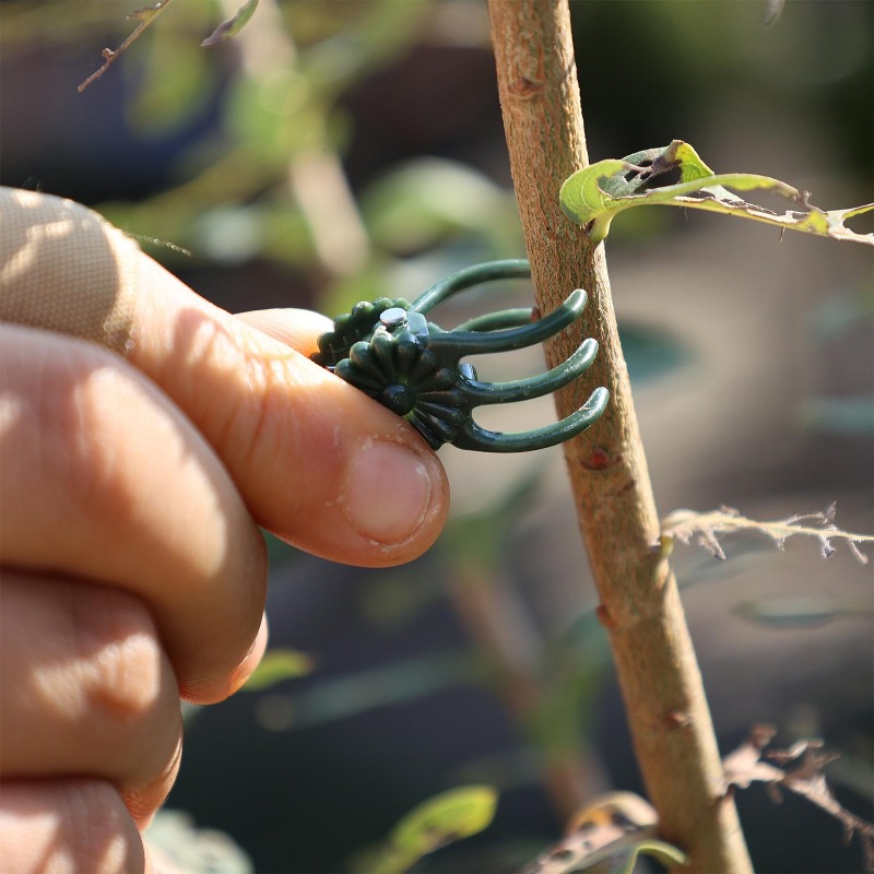 Klip Penyangga Tanaman Mini Gr - Gardening Tools Store ulasan dan harga