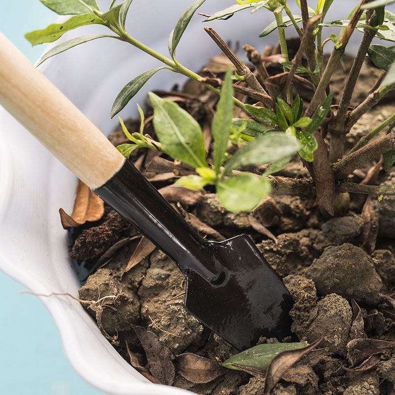 3 Buah/1Set Alat Berkebun Mini - Gardening Tools For Weeds ulasan dan harga