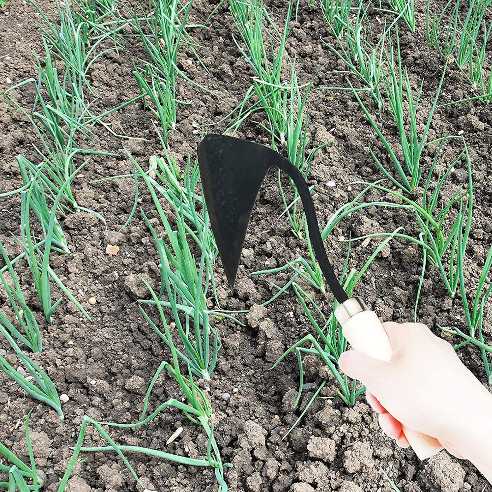 Alat pertanian Hoes segitiga F - Gardening Tools For Weeds ulasan dan harga
