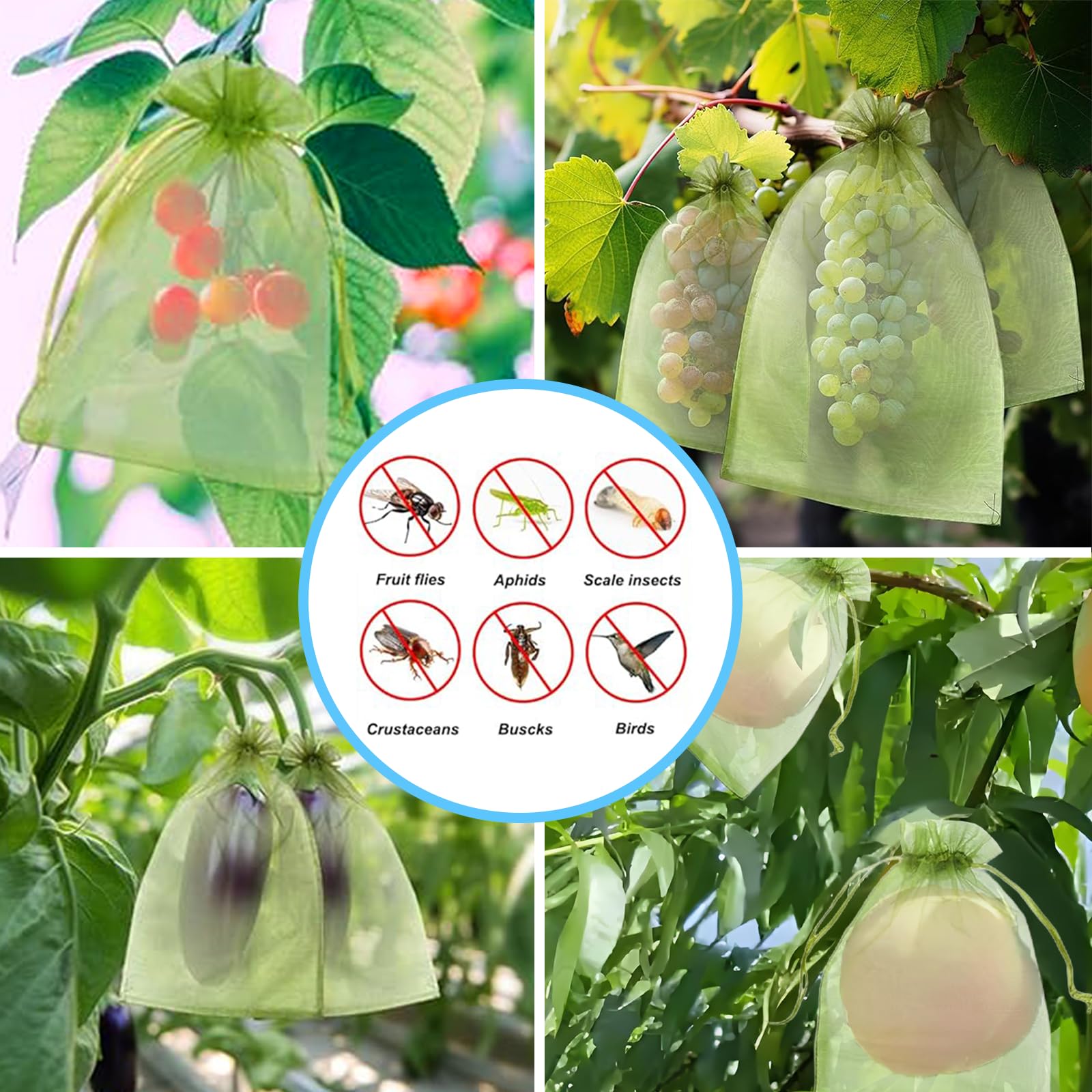 Jaring Anti Burung Efektif, Ka - Outdoor Planting Bag ulasan dan harga