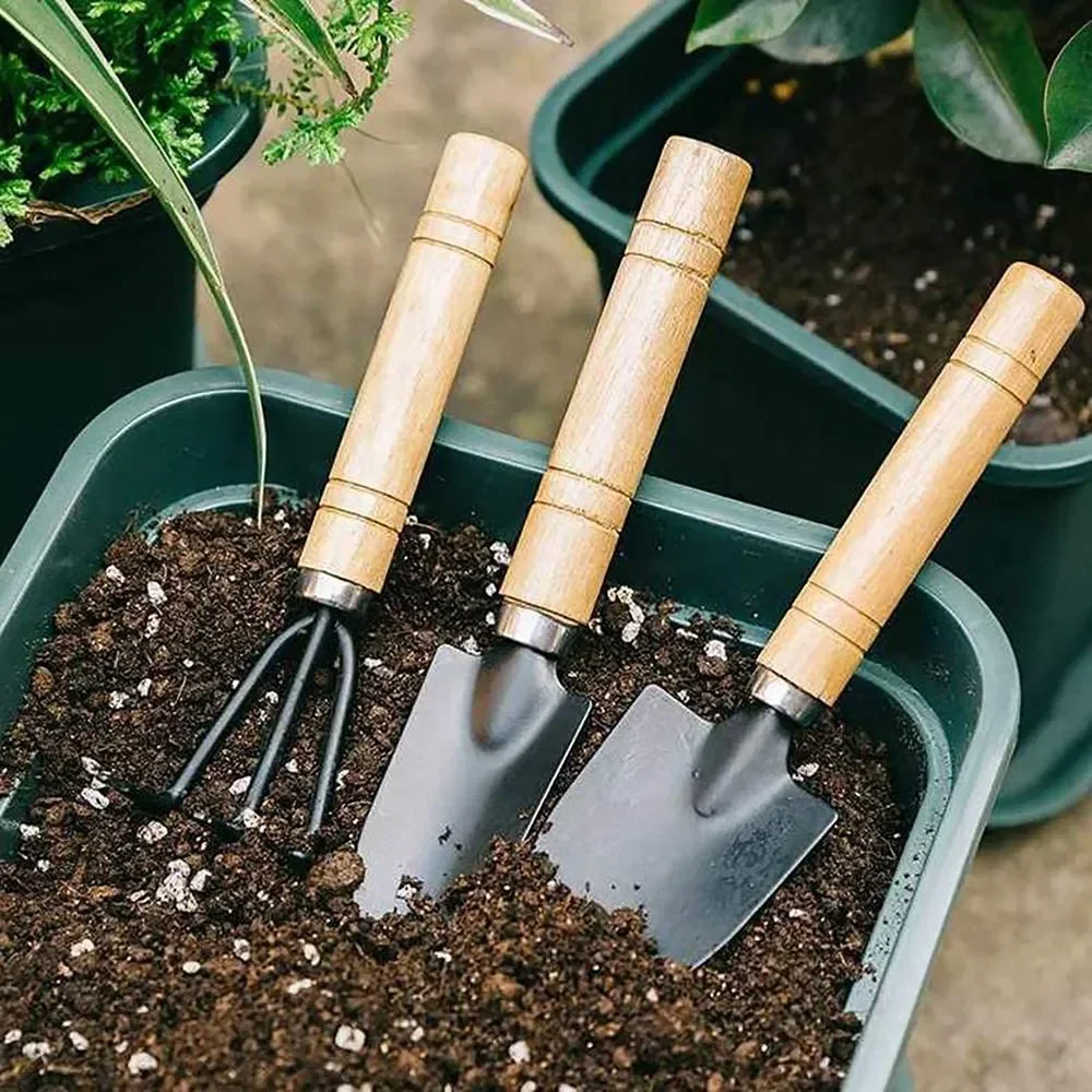 3Pcs/Set Peralatan Taman Mini  - Gardening Tools For Weeds ulasan dan harga