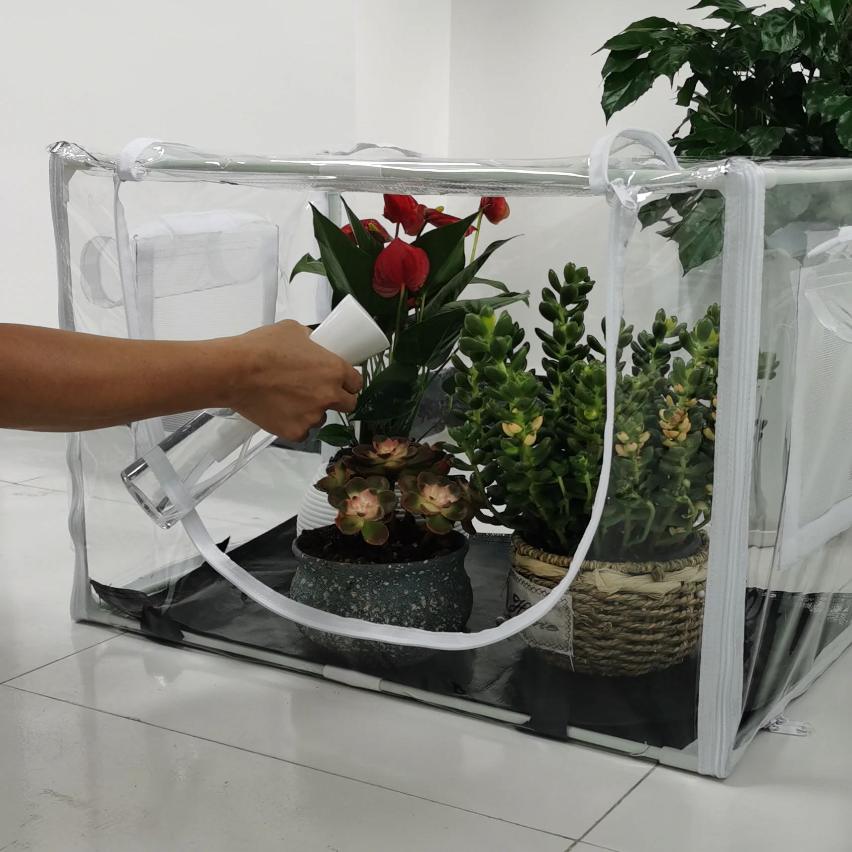Rumah Kaca Kompak untuk Tanama - Outdoor Planting Bag ulasan dan harga