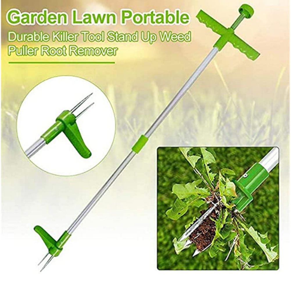 Alat pembunuh manual tahan lam - Gardening Tools For Weeds ulasan dan harga