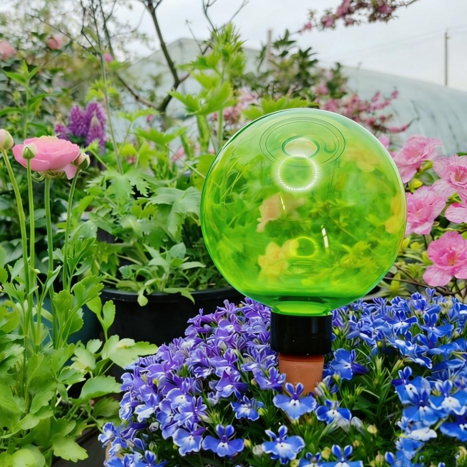 3pcs Bola Penyiram Tanaman Bes - Self-Watering Planter ulasan dan harga