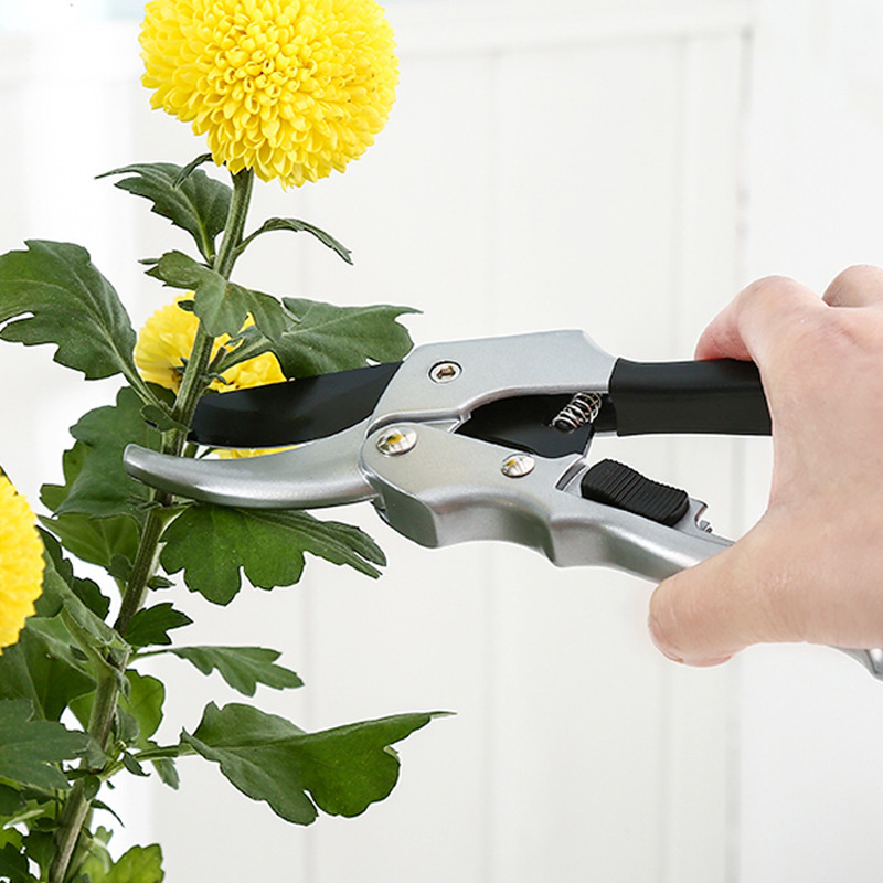 Baru 20cm gunting tanaman roda - Garden Hand Trowel ulasan dan harga