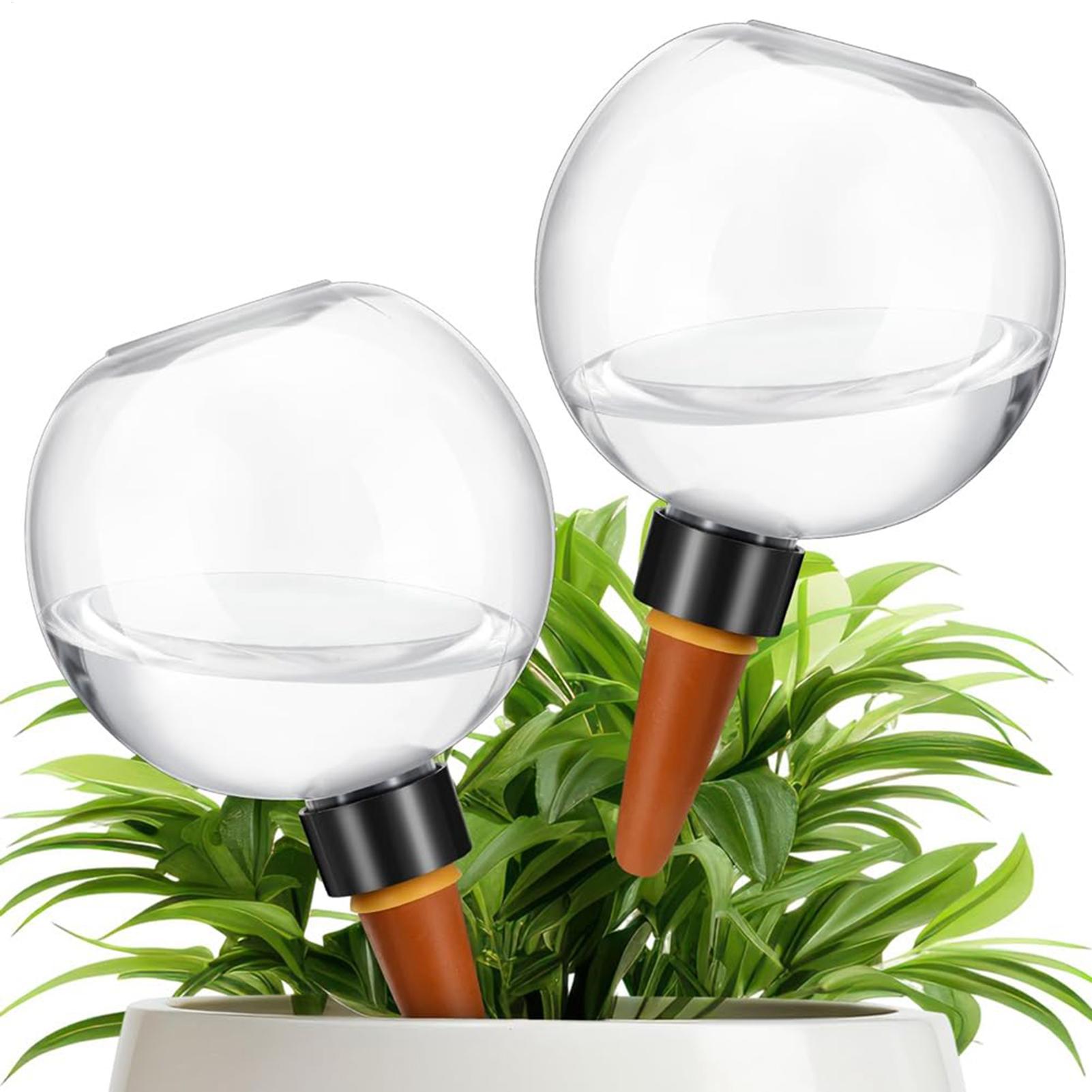 Bola Penyiram Tanaman Otomatis - Self-Watering Planter ulasan dan harga