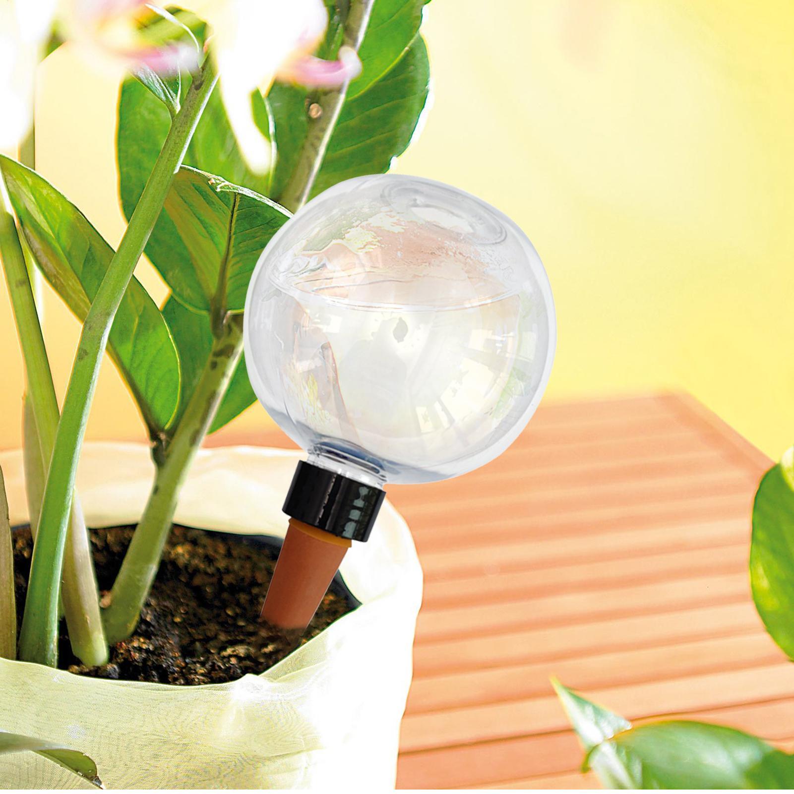 Bola Penyiram Tanaman Otomatis - Self-Watering Planter ulasan dan harga