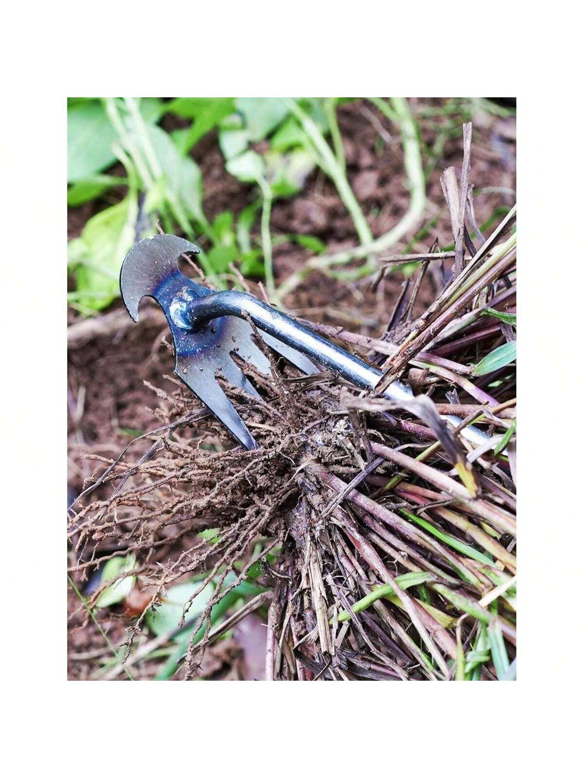 4 Gigi - Weeder Tangan Multifu - Gardening Tools For Weeds ulasan dan harga