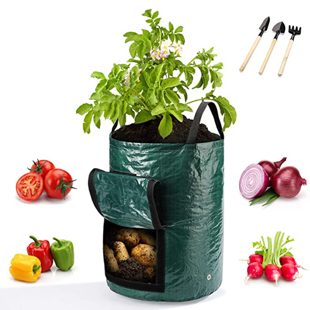 1 Buah Tas Tanam 10 Galon untu - Outdoor Planting Bag ulasan dan harga